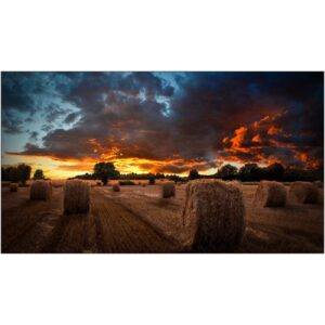 Samsung Smart Signage VM55B-U 138.70cm(55") 3.5mm B-to-B (Speditionsversand)