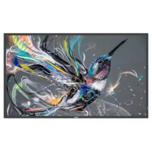 PHILIPS Q-Line 75BDL3511Q 18/7/UHD/400cd (Speditionsversand)