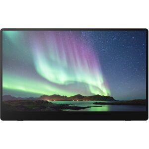 RICOH 150 Mobiler Monitor Touchscreen 15.6" OLED Full HD