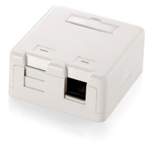 Equip Aufputzdose 2x Keystone Jack mit Abdeckung Premium ws