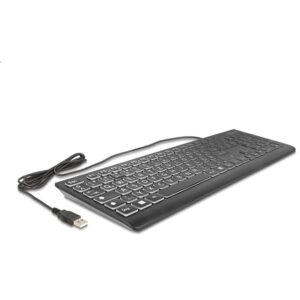 DELOCK USB Tastatur kabelgebunden 1.5m schwarz mit XXL Buchstaben und Beleuchtung