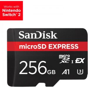 CARD EXPRESS MICRO 256GB