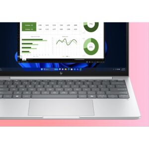 HP EliteBook 8 G1a AMD Ryzen 7 250 33.7cm 13.3Zoll WUXGA 32GB 1TB/SSD W11P SmartBuy 3J Gar (DE)