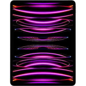 Apple iPad Pro 12.9 Wi-Fi 1TB spacegrau (6.Gen.) *NEW*